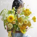 다솔 이미지