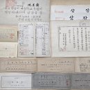 증평초등학교