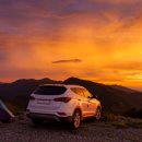 본렌트카 이미지