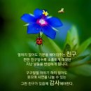 3월 19일(목) 나태주의 시인과 최근 10년간 가장 많이 팔린 시집 순위 이미지