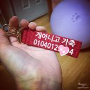에듀펜샵 이미지