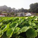 꽃뫼카페휴게소 이미지