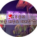 [겨울 제주도 혼자 여행] 제주도 3박 4일 여행 마지막, 제주공항근처 게스트하우스