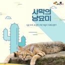 요미스토리 이미지