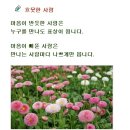 (5/18/월) 이해의 차이 / 과속질주 인생이 최고는 아니다 이미지