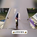 ⛺️세종3반-글램핑⛺️ 이미지