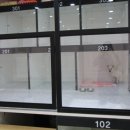 굿모닝토토 이미지