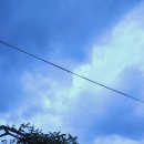 동고민박 이미지