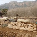 숲속의 돌담 이미지