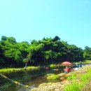 강정동-78 이미지