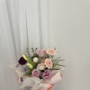 월영동279 이미지