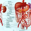 당신의 혈관이 깨끗해야 하는 이유 이미지