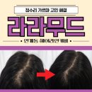 가르마 교정 헤어라인잘하는 곳 인계동 라라무드 1회차 후기