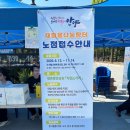 2026 안양 평촌 벼룩시장 일정 준비물 참가방법 판매 후기