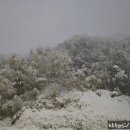 우림당구클럽 이미지