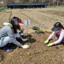 친환경농장 이미지