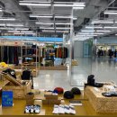 더 골든베어 이미지