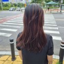 박영헤어 | 충무공동 미용실 미소박영 염색 할인받아 싸다싸