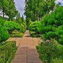 푸른수목원 이미지