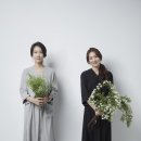 벨로아피오리 이미지