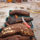 황인수 농장 이미지