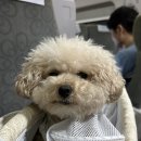 2023. 9월 일상. 가을가을해