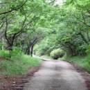 아라메길 (삼길나루길-등산로) 이미지