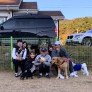 호반애견훈련소 이미지