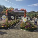 대장경기록문화축제 | 2025 대장경기록문화축제 다녀왔어요｜작지만 알찬 대장경테마파크 가족 후기