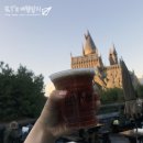 [Universal Studios] 오사카, 꼭 가봐야할 어른이동산 &#39;유니버셜스튜디오 재팬&#39;