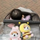 지투존 이미지
