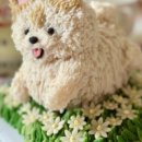 옥정강아지 이미지