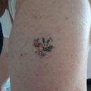 돌산성심의원 이미지