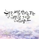 청양친환경블루베리농장 이미지