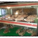 최고집부대찌개 이미지