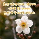 친구님들 2월 한달 내네 건강하고 무탈하시길 바래요ㅡ♡ 이미지