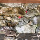 청송 얼음골 야영장 이미지