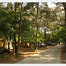 자연휴양림 입구 이미지