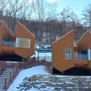 트리하우스 이미지