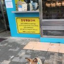 김종구부산켄터키통닭