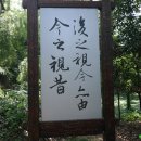 성인 서예 이미지