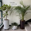 안울진치과의원 이미지