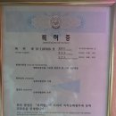동루골 다원