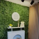 아띠스테이 이미지