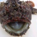 해성2농장 이미지