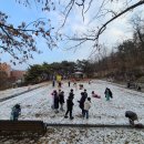 올해의 첫눈☃️보문동산에서 첫눈을 즐겨요 이미지