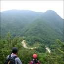 바람의노래 이미지