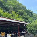 구봉산식당 | 춘천 계곡식당 능이백숙먹으러 명월촌/ 구봉산 스타벅스리저브 / 세계주류마켓