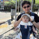 워니패션 | 5월5일 어린이날 7개월 아기랑 서울가볼만한곳 용산어린이정원 방문후기