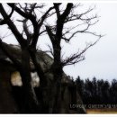 서정목장 이미지